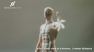 Beauty of Science Series 2: The Human Body 